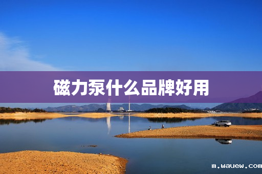 磁力泵什么品牌好用 磁力泵什么品牌好用