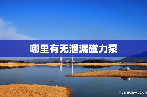 哪里有无泄漏磁力泵 哪里有无泄漏磁力泵