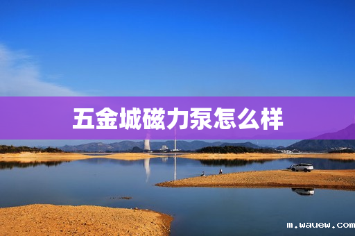 五金城磁力泵怎么样 五金城磁力泵怎么样