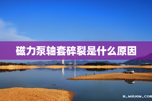 磁力泵轴套碎裂是什么原因 磁力泵轴套碎裂是什么原因