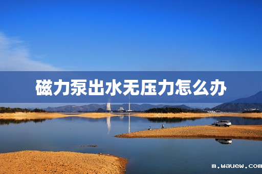 磁力泵出水无压力怎么办 磁力泵出水无压力怎么办