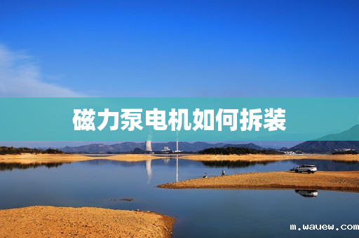 磁力泵电机如何拆装 磁力泵电机如何拆装