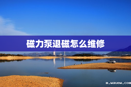 磁力泵退磁怎么维修 磁力泵退磁怎么维修