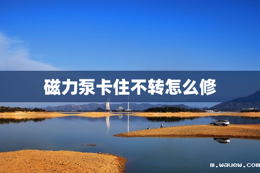 磁力泵卡住不转怎么修 磁力泵卡住不转怎么修