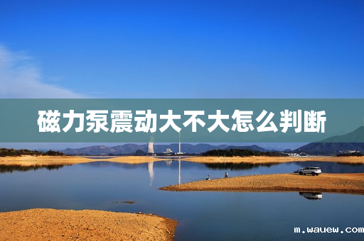 磁力泵震动大不大怎么判断 磁力泵震动大不大怎么判断