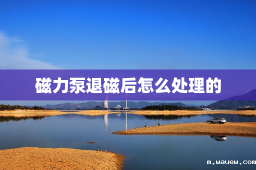 磁力泵退磁后怎么处理的 磁力泵退磁后怎么处理的