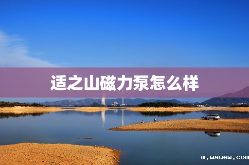 适之山磁力泵怎么样 适之山磁力泵怎么样