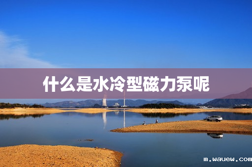 什么是水冷型磁力泵呢 什么是水冷型磁力泵呢