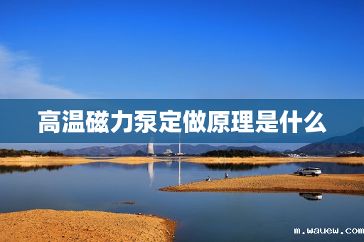 高温磁力泵定做原理是什么 高温磁力泵定做原理是什么