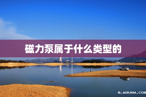 磁力泵属于什么类型的 磁力泵属于什么类型的