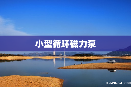 小型循环磁力泵 小型循环磁力泵