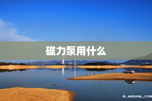 磁力泵用什么 磁力泵用什么