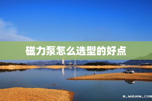 磁力泵怎么选型的好点 磁力泵怎么选型的好点