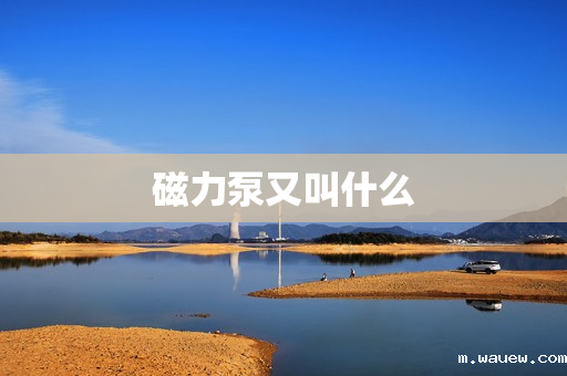 磁力泵又叫什么 磁力泵又叫什么