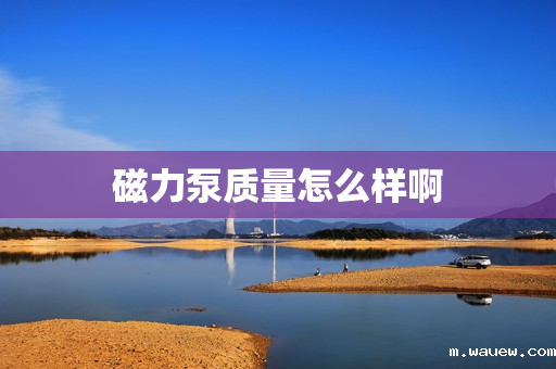 磁力泵质量怎么样啊 磁力泵质量怎么样啊