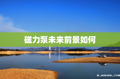 磁力泵未来前景如何 磁力泵未来前景如何