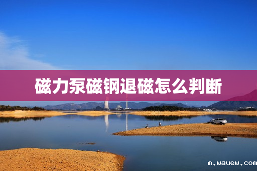 磁力泵磁钢退磁怎么判断 磁力泵磁钢退磁怎么判断