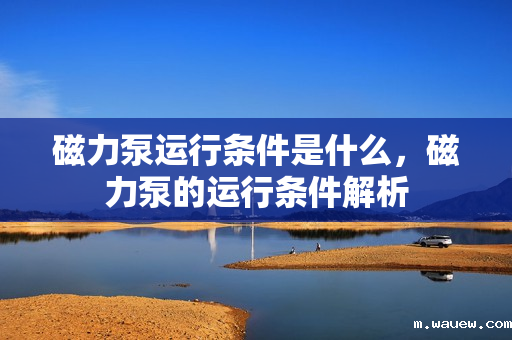 磁力泵运行条件是什么,磁力泵的运行条件解析 磁力泵运行条件是什么,磁力泵的运行条件解析