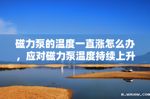 磁力泵的温度一直涨怎么办,应对磁力泵温度持续上升的有效措施 磁力泵的温度一直涨怎么办,应对磁力泵温度持续上升的有效措施