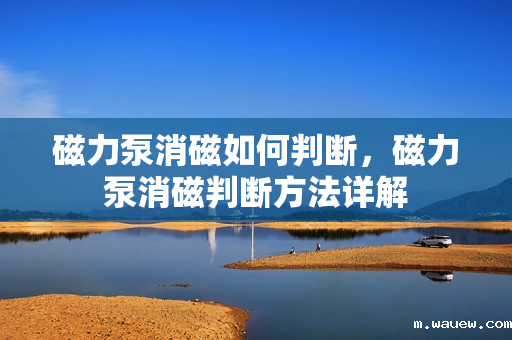 磁力泵消磁如何判断,磁力泵消磁判断方法详解 磁力泵消磁如何判断,磁力泵消磁判断方法详解