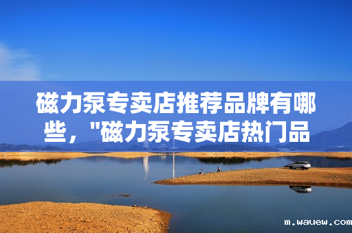 磁力泵专卖店推荐品牌有哪些, 磁力泵专卖店推荐品牌有哪些,