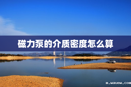 磁力泵的介质密度怎么算 磁力泵的介质密度怎么算