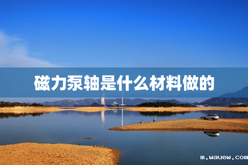 磁力泵轴是什么材料做的 磁力泵轴是什么材料做的
