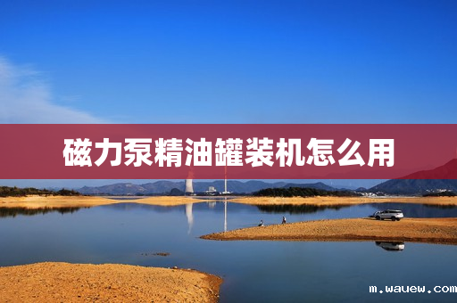 磁力泵精油罐装机怎么用 磁力泵精油罐装机怎么用