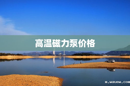 高温磁力泵价格 高温磁力泵价格