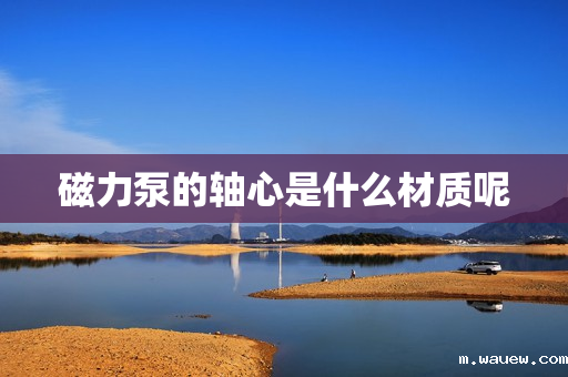 磁力泵的轴心是什么材质呢 磁力泵的轴心是什么材质呢