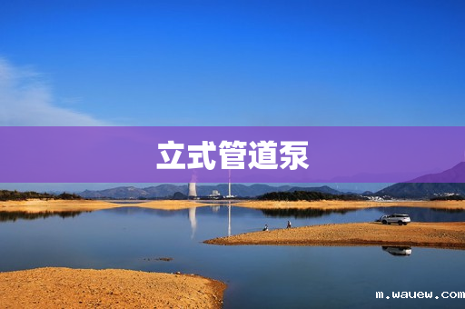 立式管道泵 立式管道泵