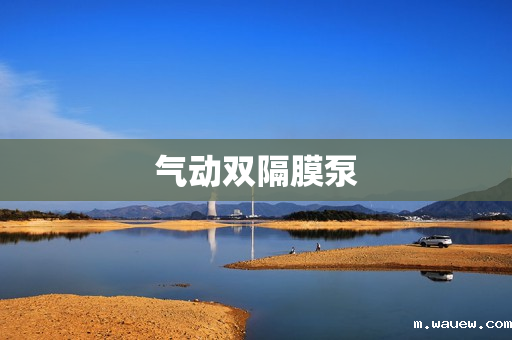 气动双隔膜泵 气动双隔膜泵