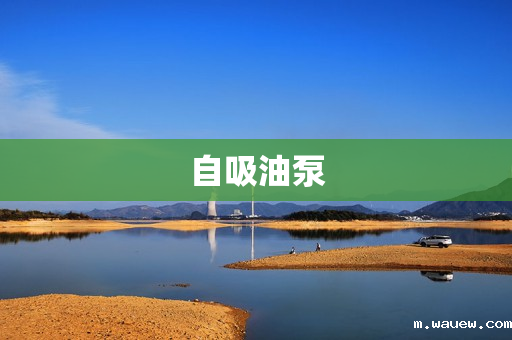 自吸油泵 自吸油泵