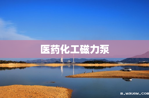 医药化工磁力泵 医药化工磁力泵