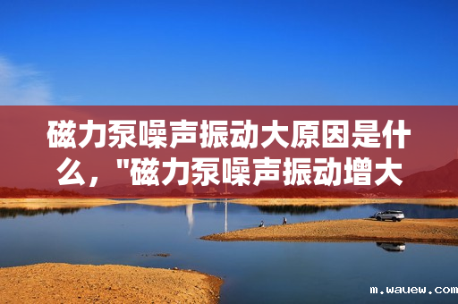 磁力泵噪声振动大原因是什么, 磁力泵噪声振动大原因是什么,