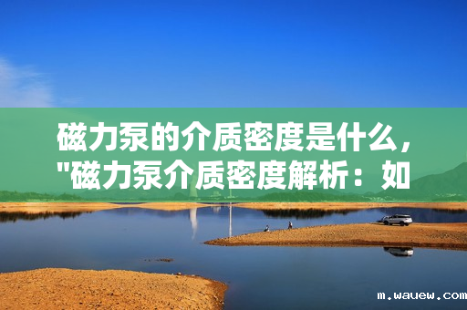 磁力泵的介质密度是什么, 磁力泵的介质密度是什么,