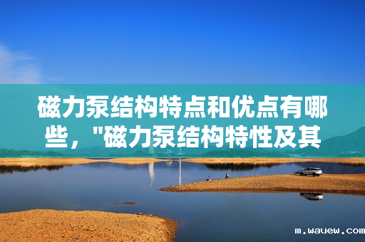 磁力泵结构特点和优点有哪些, 磁力泵结构特点和优点有哪些,