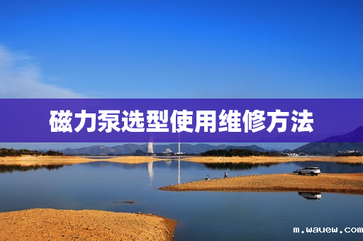 磁力泵选型使用维修方法 磁力泵选型使用维修方法