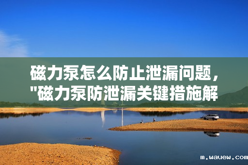 磁力泵怎么防止泄漏问题, 磁力泵怎么防止泄漏问题,