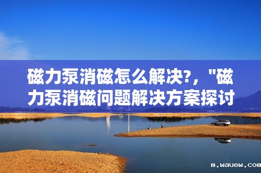 磁力泵消磁怎么解决?, 磁力泵消磁怎么解决?,