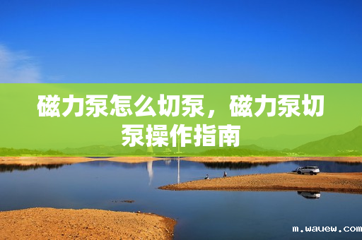 磁力泵怎么切泵,磁力泵切泵操作指南 磁力泵怎么切泵,磁力泵切泵操作指南