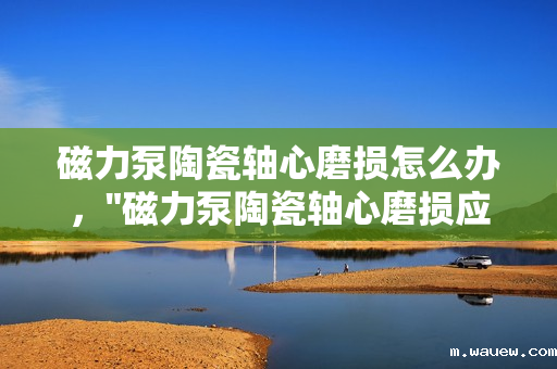 磁力泵陶瓷轴心磨损怎么办, 磁力泵陶瓷轴心磨损怎么办,