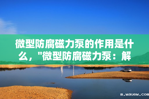 微型防腐磁力泵的作用是什么, 微型防腐磁力泵的作用是什么,