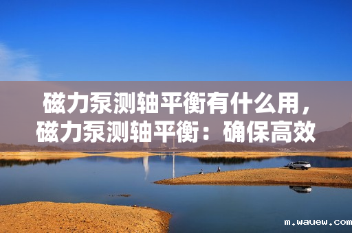 磁力泵测轴平衡有什么用,磁力泵测轴平衡:确保高效稳定运行的关键步骤 磁力泵测轴平衡有什么用,磁力泵测轴平衡:确保高效稳定运行的关键步骤