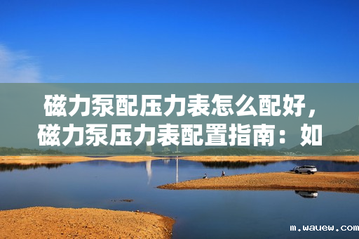 磁力泵配压力表怎么配好,磁力泵压力表配置指南:如何正确选择与安装 磁力泵配压力表怎么配好,磁力泵压力表配置指南:如何正确选择与安装