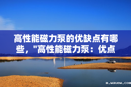 高性能磁力泵的优缺点有哪些, 高性能磁力泵的优缺点有哪些,