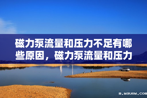 磁力泵流量和压力不足有哪些原因,磁力泵流量和压力不足的原因分析 磁力泵流量和压力不足有哪些原因,磁力泵流量和压力不足的原因分析