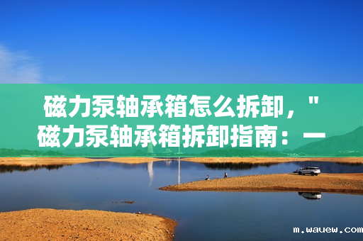 磁力泵轴承箱怎么拆卸, 磁力泵轴承箱怎么拆卸,