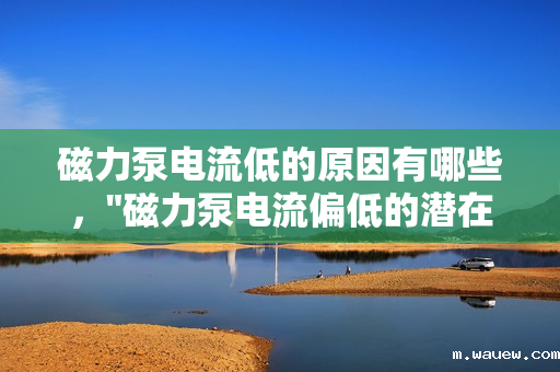 磁力泵电流低的原因有哪些, 磁力泵电流低的原因有哪些,