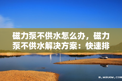 磁力泵不供水怎么办,磁力泵不供水解决方案:快速排查与修复指南 磁力泵不供水怎么办,磁力泵不供水解决方案:快速排查与修复指南